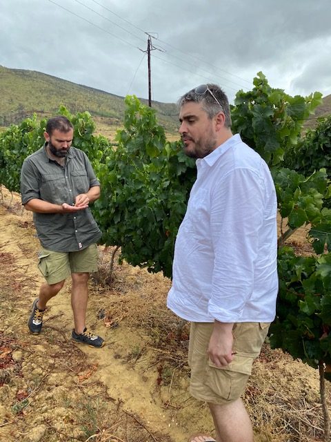 A culinary adventure in the Cape winelands